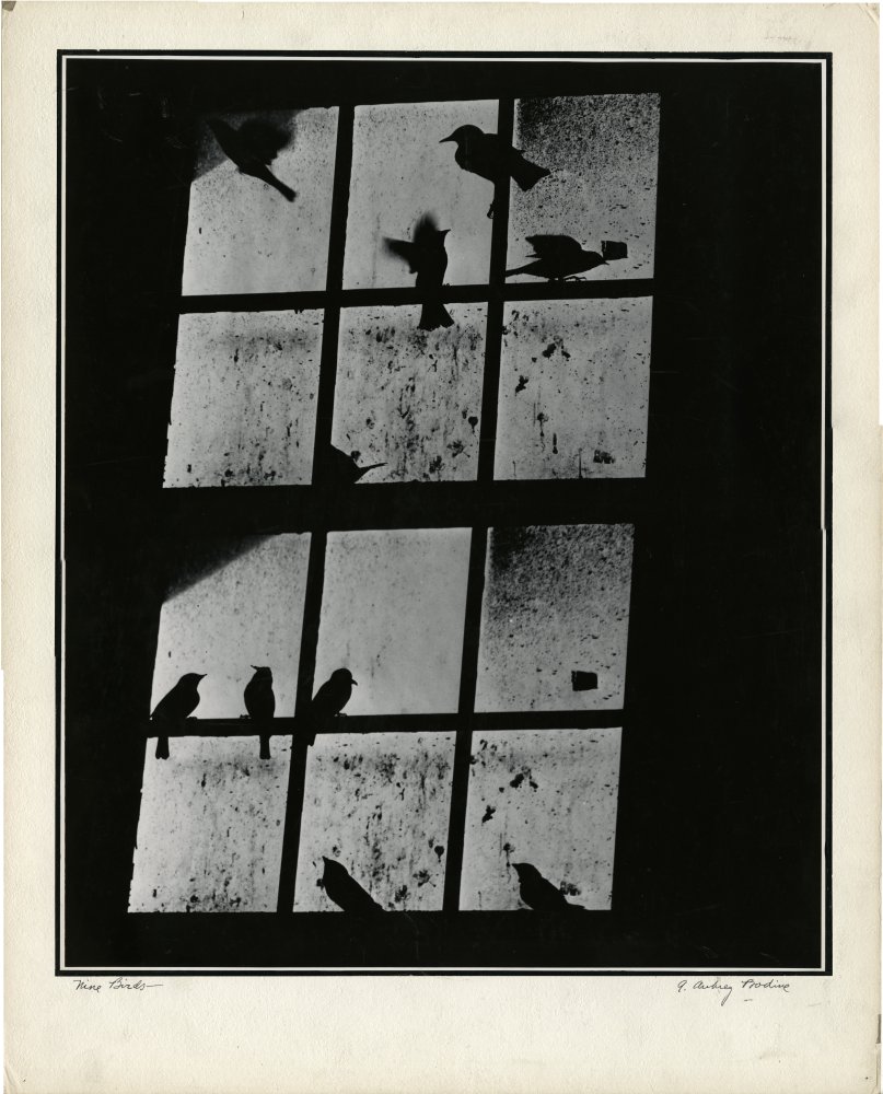 Click for larger image